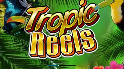 Tropic Reels от Playtech